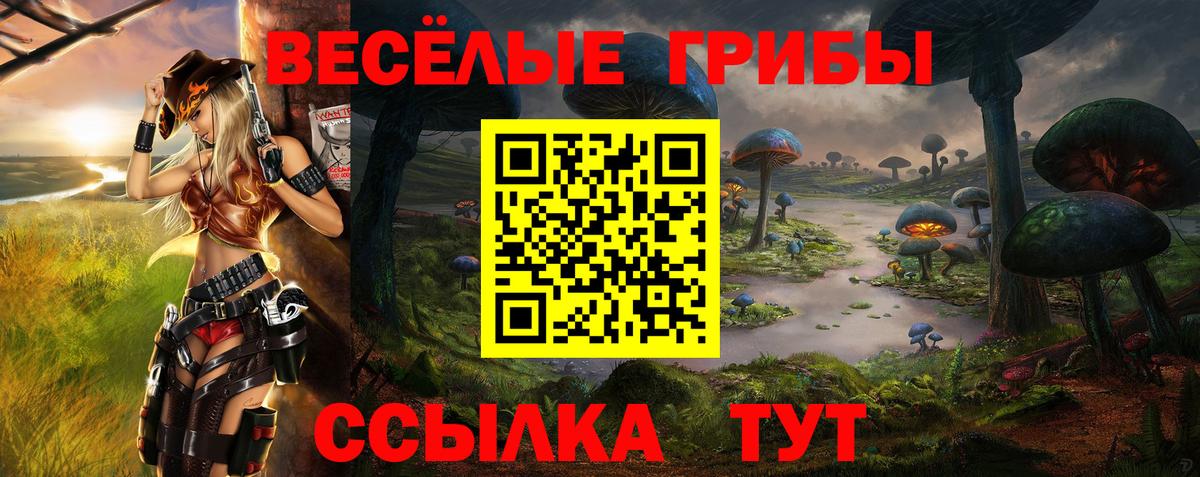 Междуреченск  Псилоцибиновые грибы GOLDEN TEACHER  Вход с VPN 